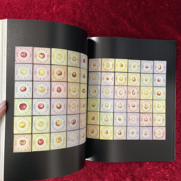 The World of Donald Evans 洋書