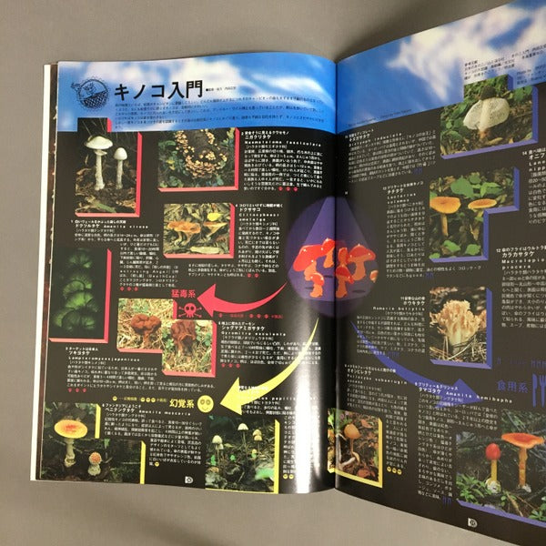 INTRO　New Cultural Edge　1993年10月 Ver1.0　特集：キノコとサイケデリック　CD付属