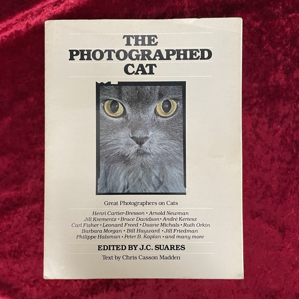 The Photographed Cat: Great Photographers on Cats　洋書