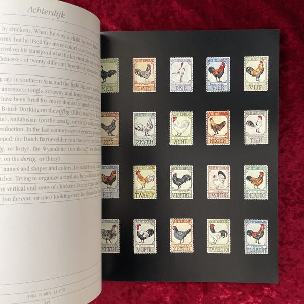 The World of Donald Evans 洋書