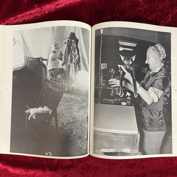 The Photographed Cat: Great Photographers on Cats　洋書