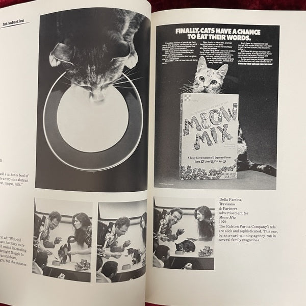 The Photographed Cat: Great Photographers on Cats　洋書