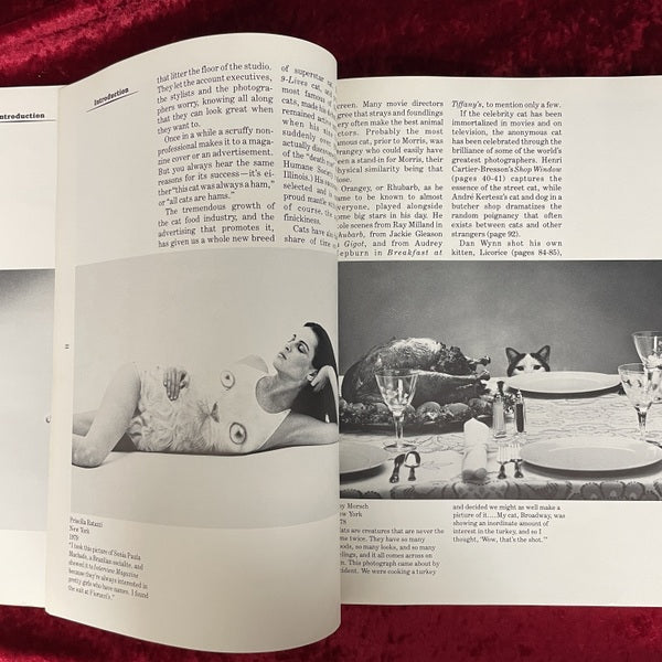 The Photographed Cat: Great Photographers on Cats　洋書