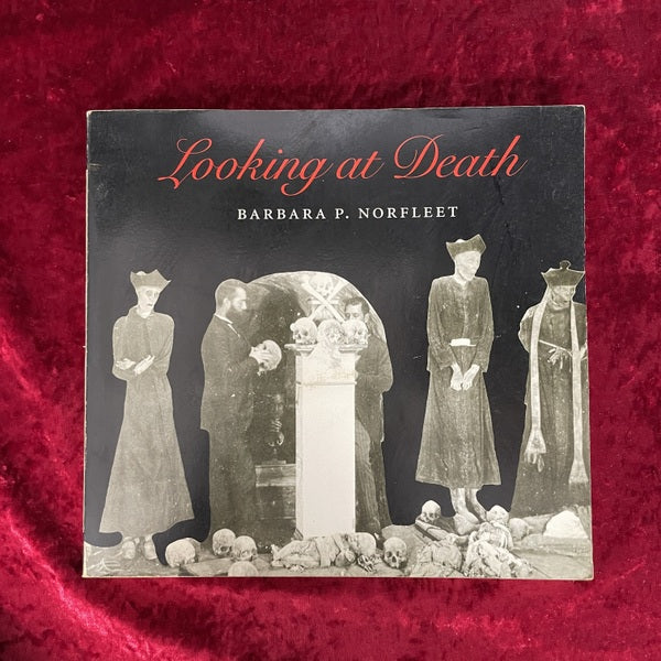 Looking at Death　洋書
