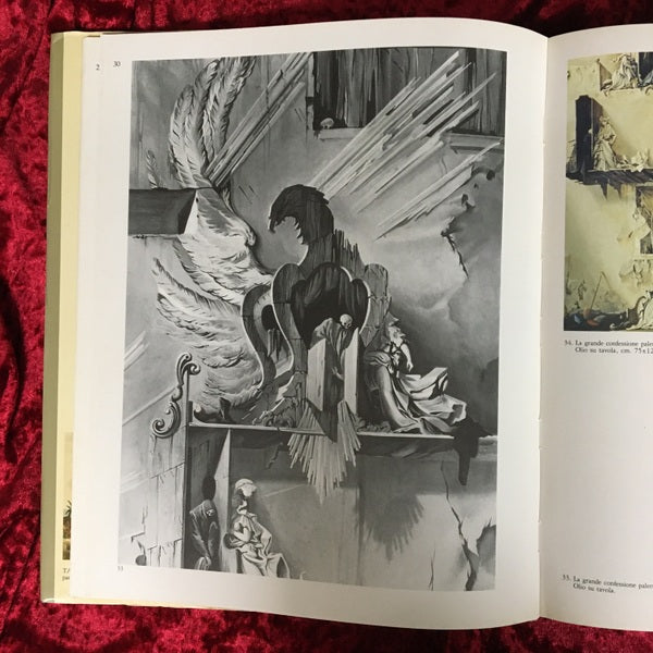 FABRIZIO CLERICI　洋書