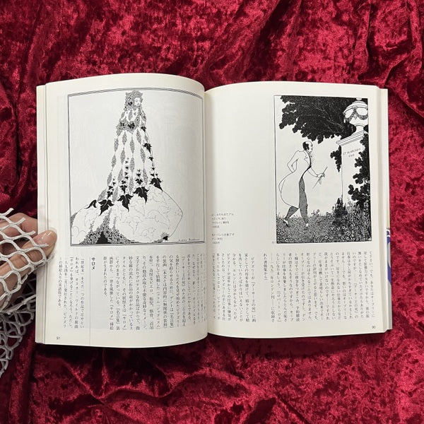 オーブリー・ビアズリー : 世紀末、異端の画家 ＜小さな美術館＞