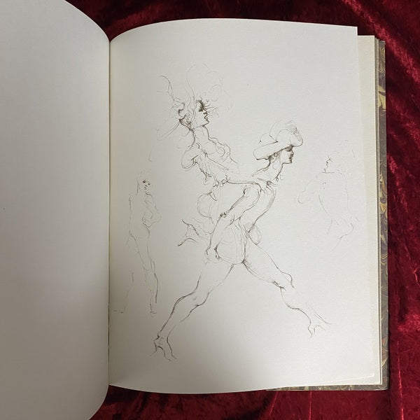 LEONOR FINI: FETES SECRETES; Dessins 洋書 レオノール・フィニ