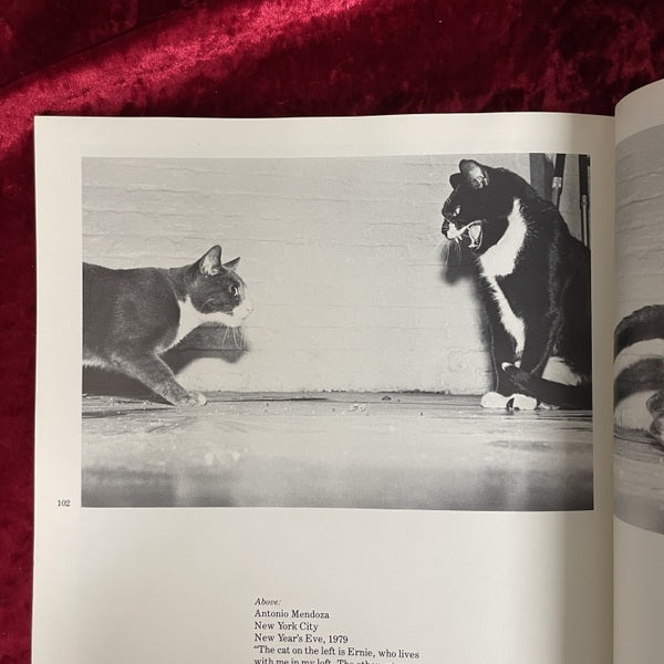 The Photographed Cat: Great Photographers on Cats　洋書