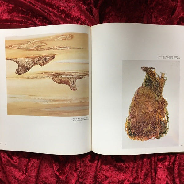 FABRIZIO CLERICI　洋書