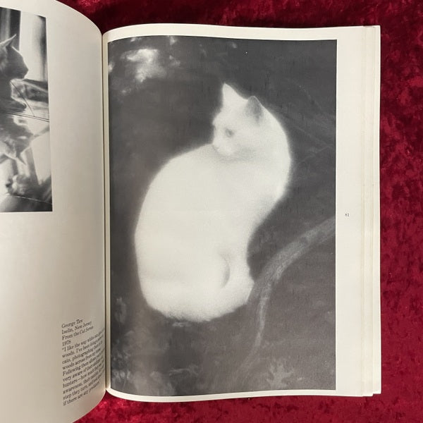 The Photographed Cat: Great Photographers on Cats　洋書