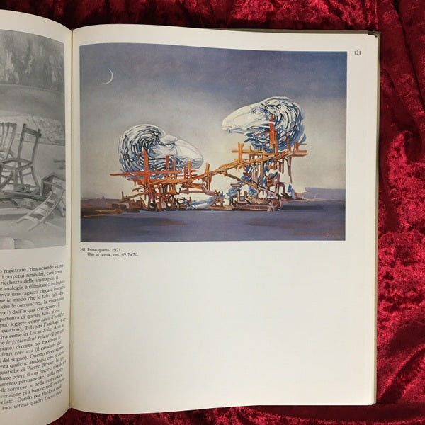 FABRIZIO CLERICI　洋書