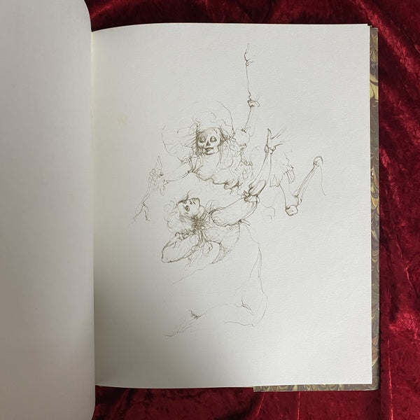 LEONOR FINI: FETES SECRETES; Dessins 洋書 レオノール・フィニ