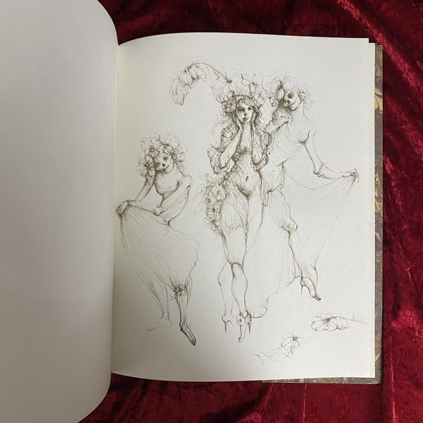LEONOR FINI: FETES SECRETES; Dessins 洋書 レオノール・フィニ