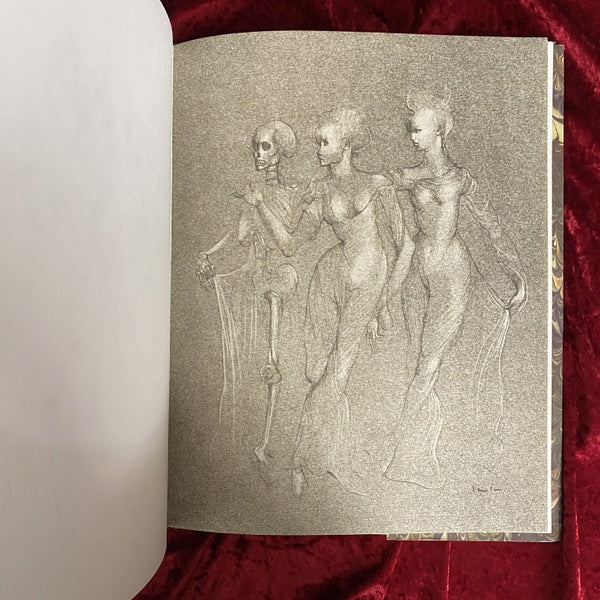LEONOR FINI: FETES SECRETES; Dessins 洋書 レオノール・フィニ