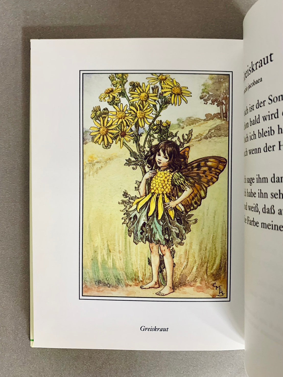 FLOWERS FAIRIES IM SOMMER　著：Cicely Mary Barker　花の妖精　洋書