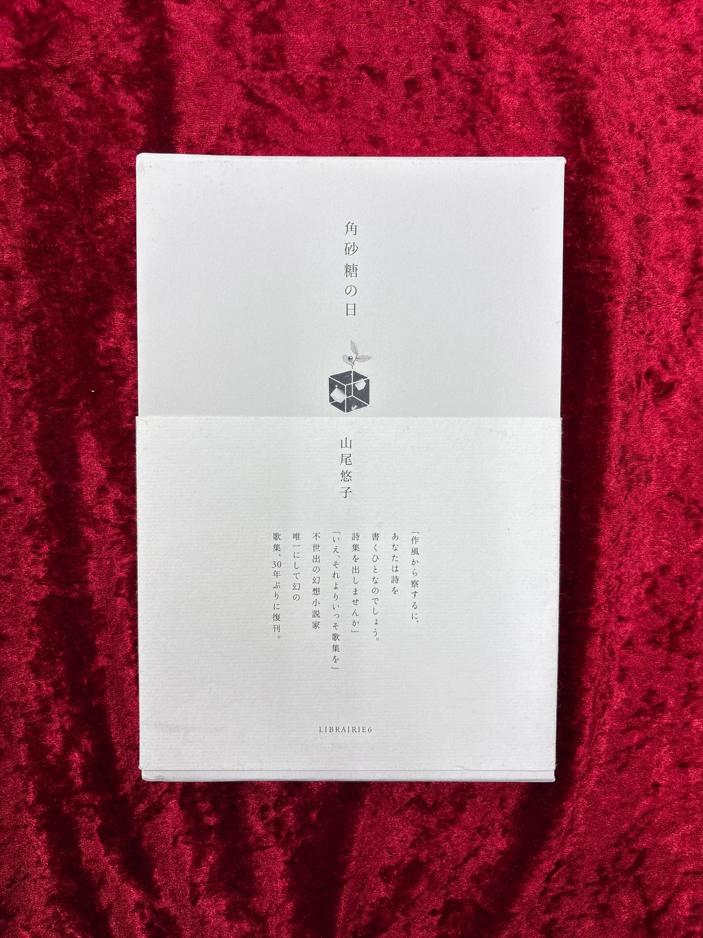 角砂糖の日　山尾悠子　　署名本