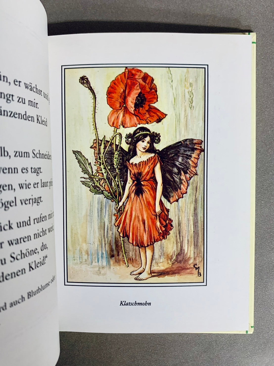 FLOWERS FAIRIES IM SOMMER　著：Cicely Mary Barker　花の妖精　洋書
