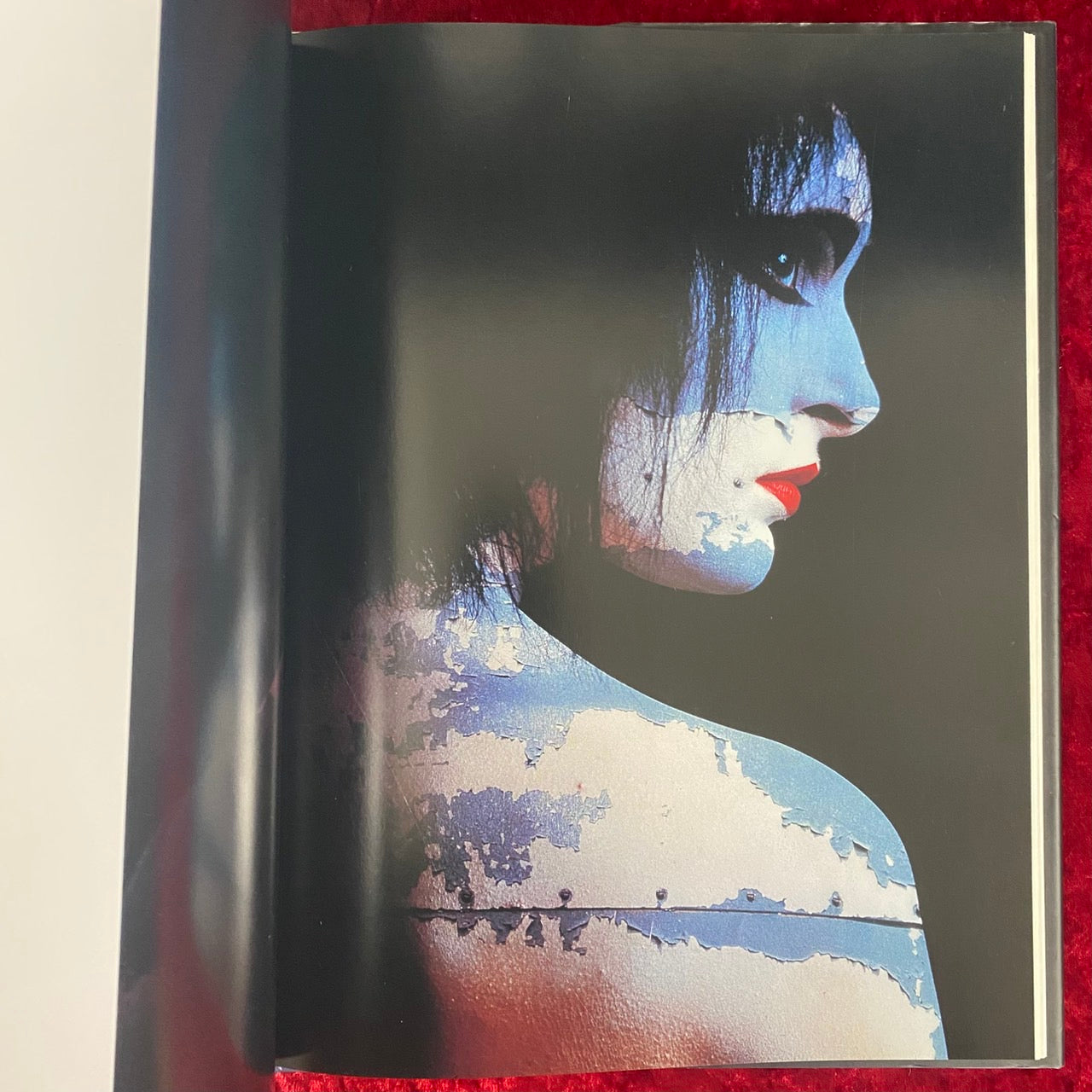 フラグメンツ : イワン・フレイザー作品集