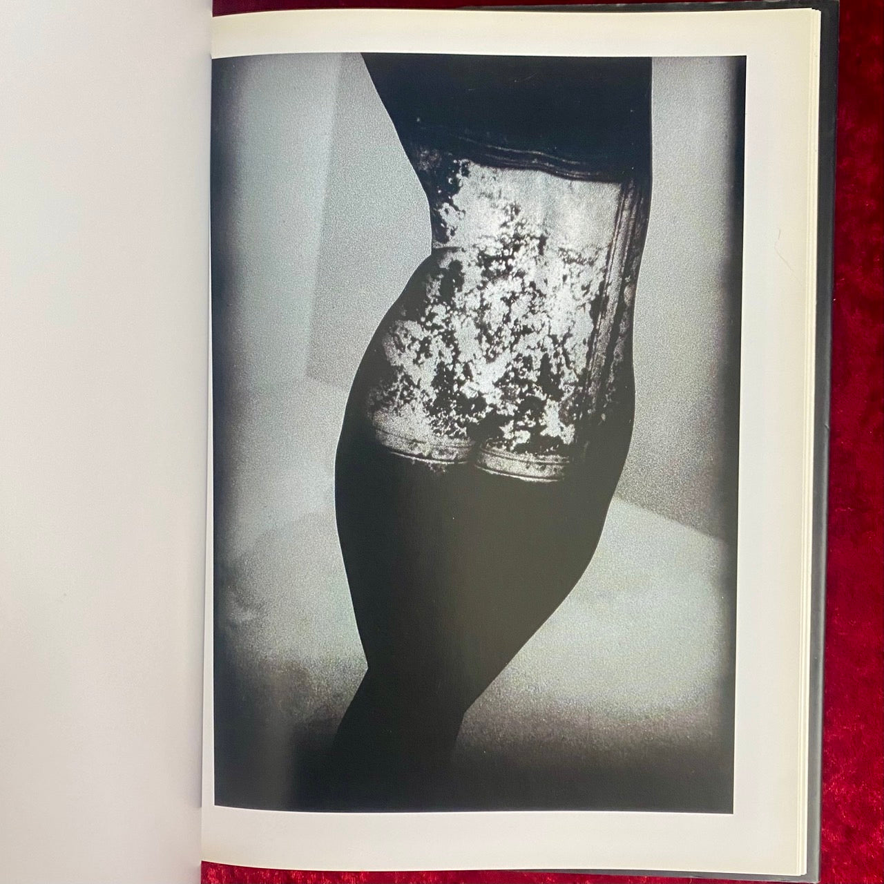 フラグメンツ : イワン・フレイザー作品集