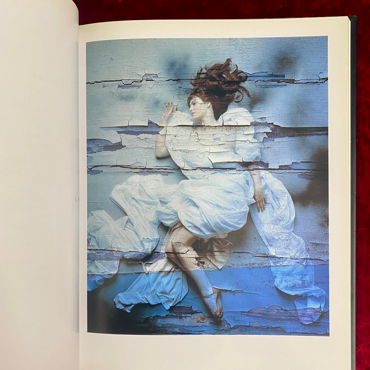 フラグメンツ : イワン・フレイザー作品集 – 古書ドリス