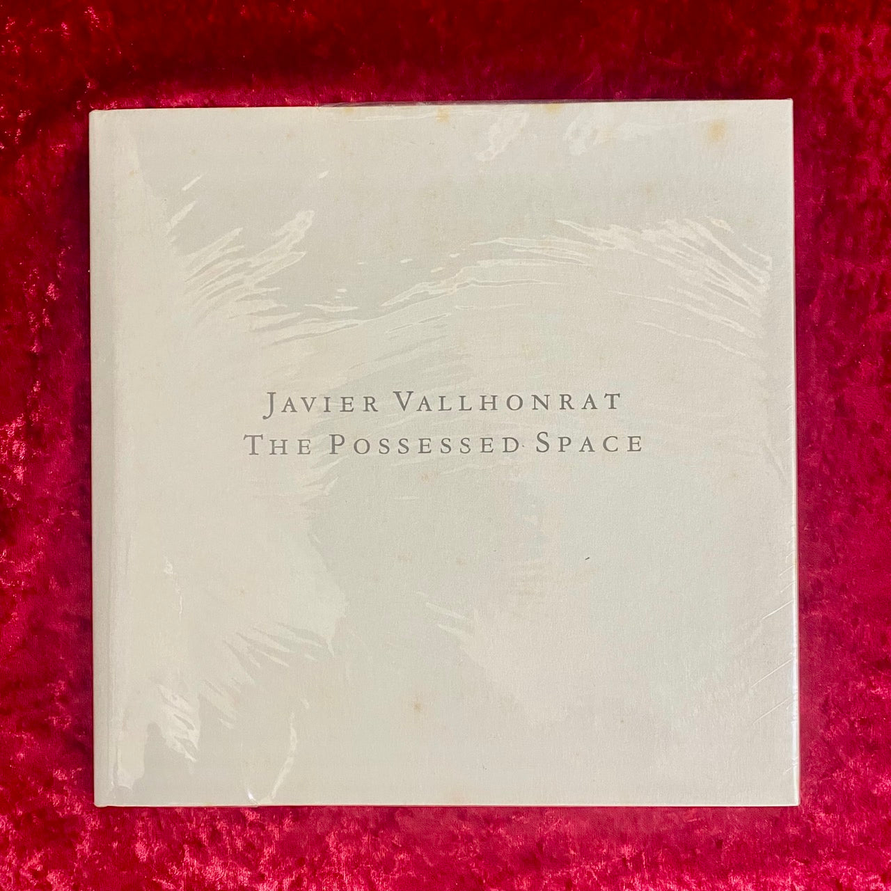 The Possessed Space　洋書