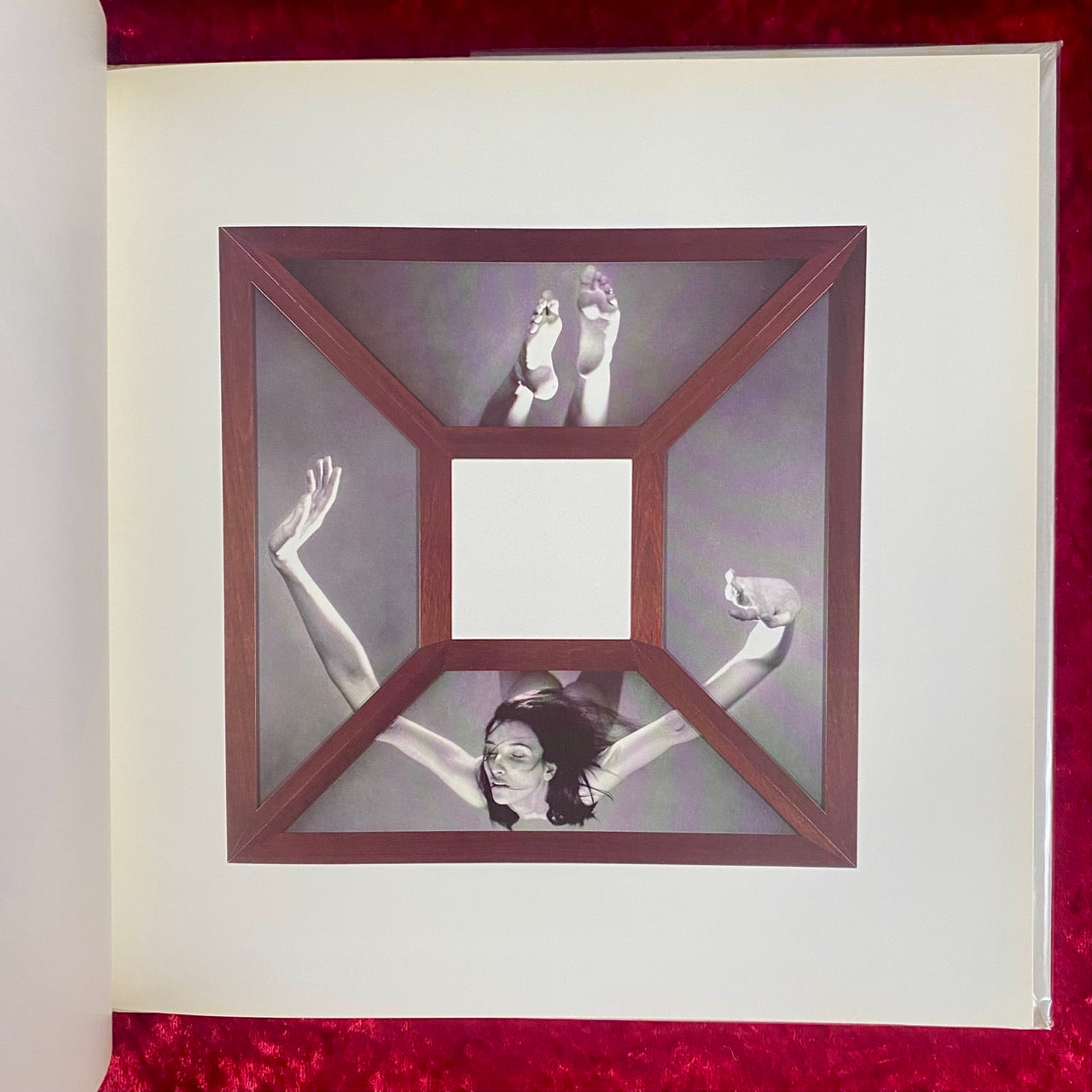 The Possessed Space　洋書