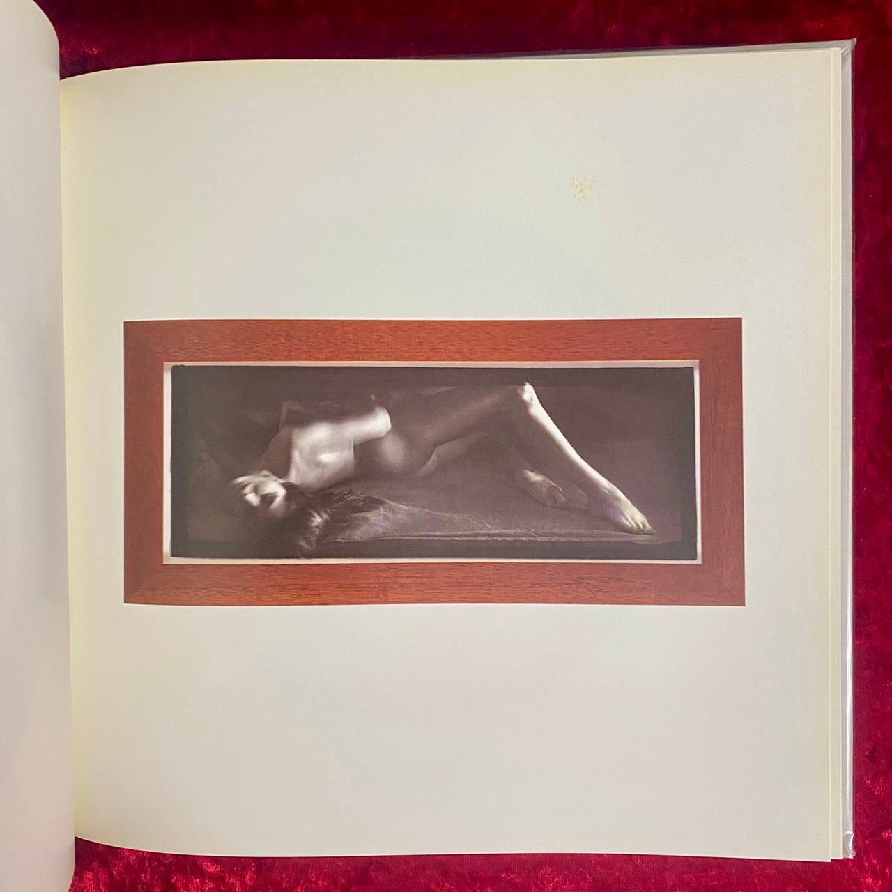 The Possessed Space　洋書