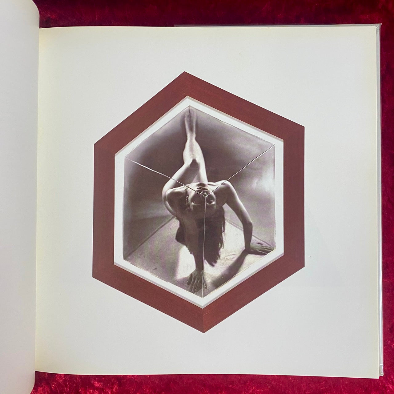 The Possessed Space　洋書