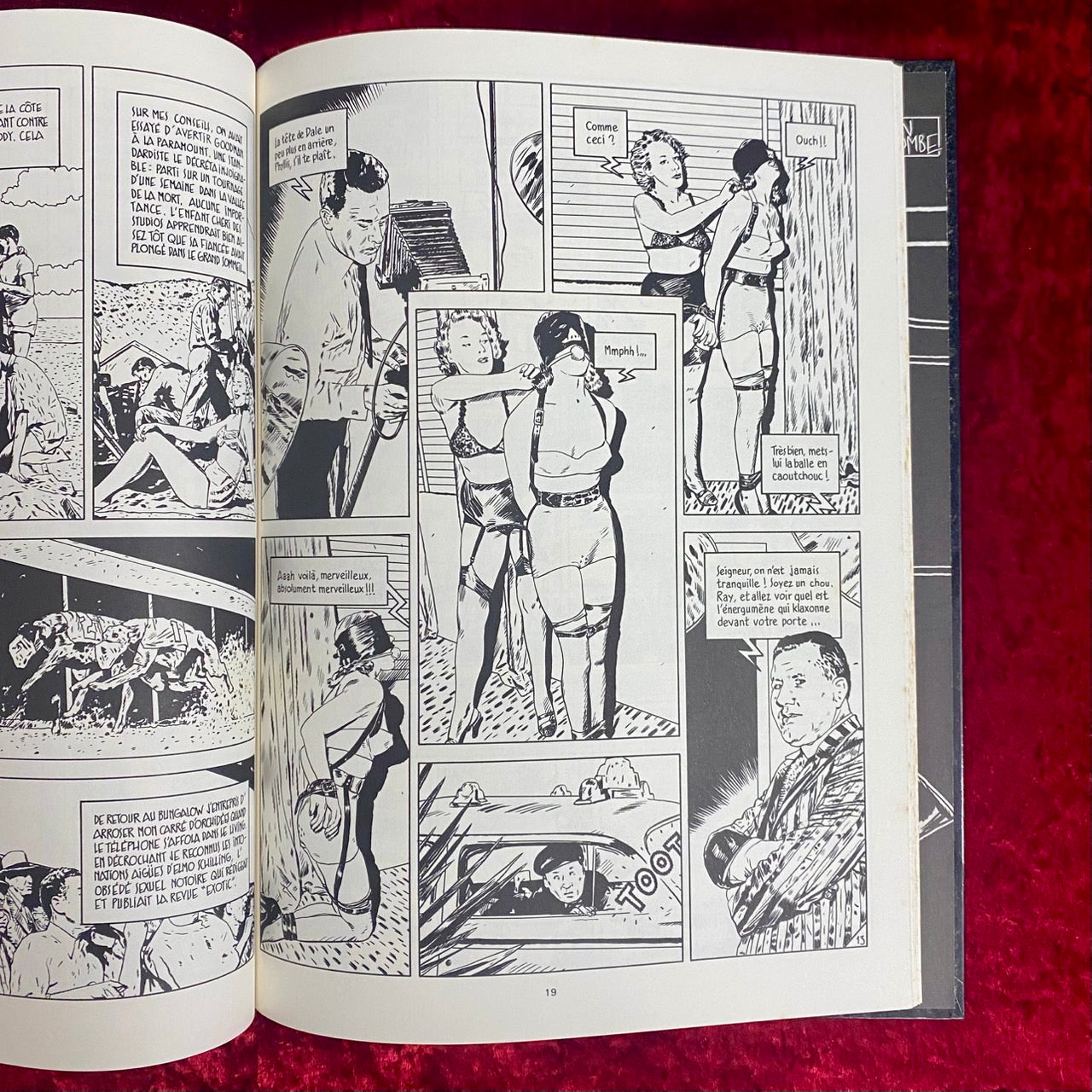 Cité des anges  洋書