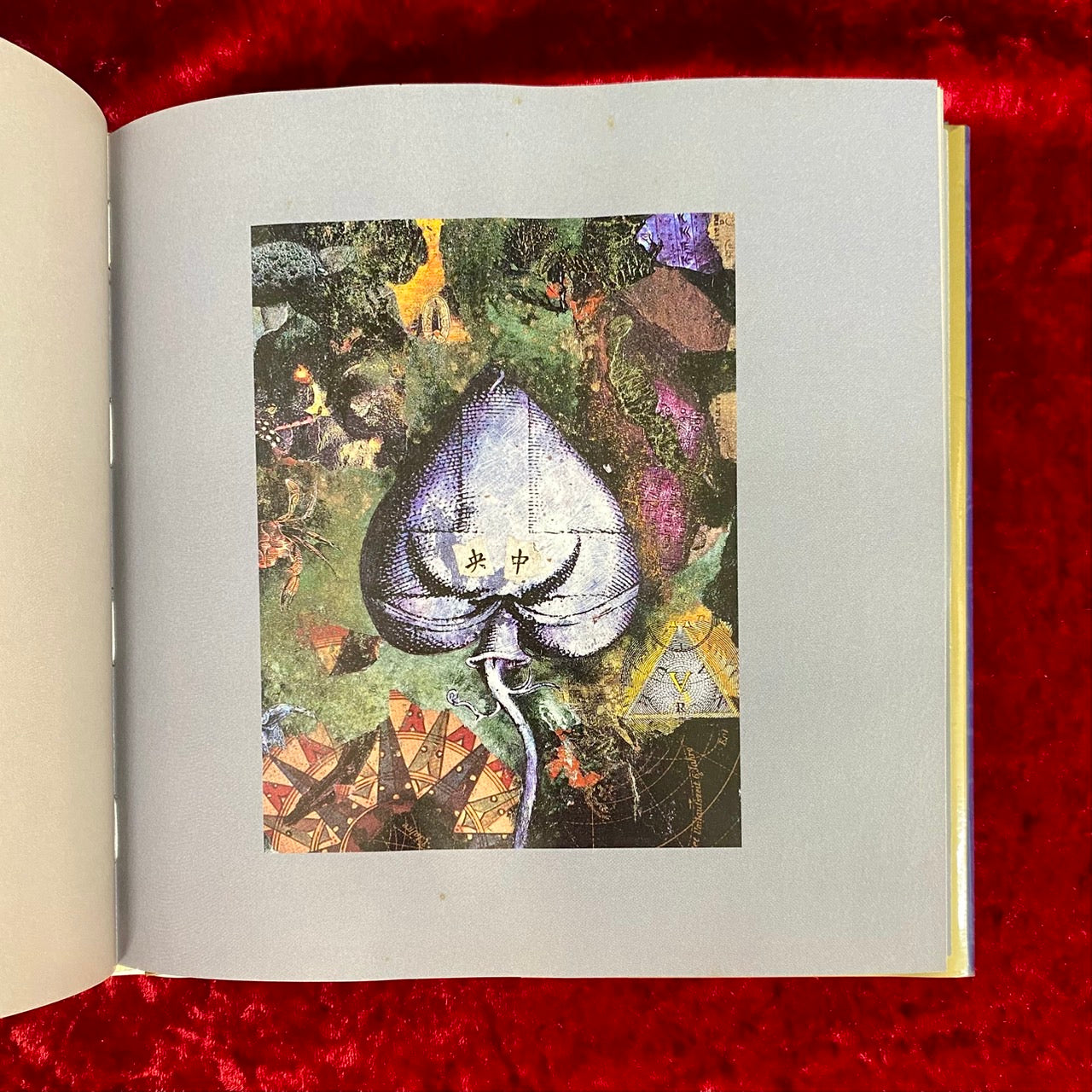 The Gryphon: In Which the Extraordinary Correspondence of Griffin & Sabine Is Rediscovered　洋書