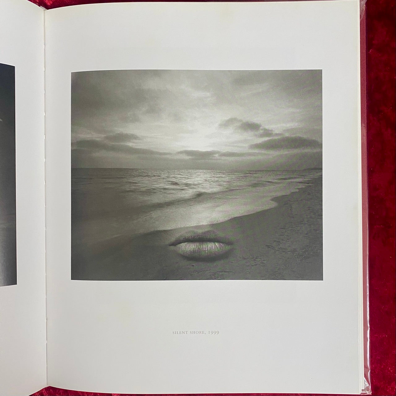 Referencing Art 洋書