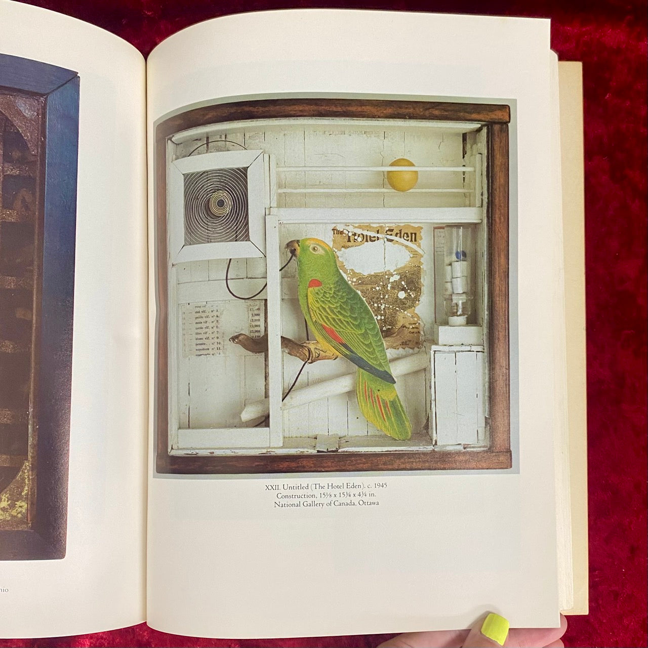 Joseph Cornell　洋書　ジョセフ・コーネル