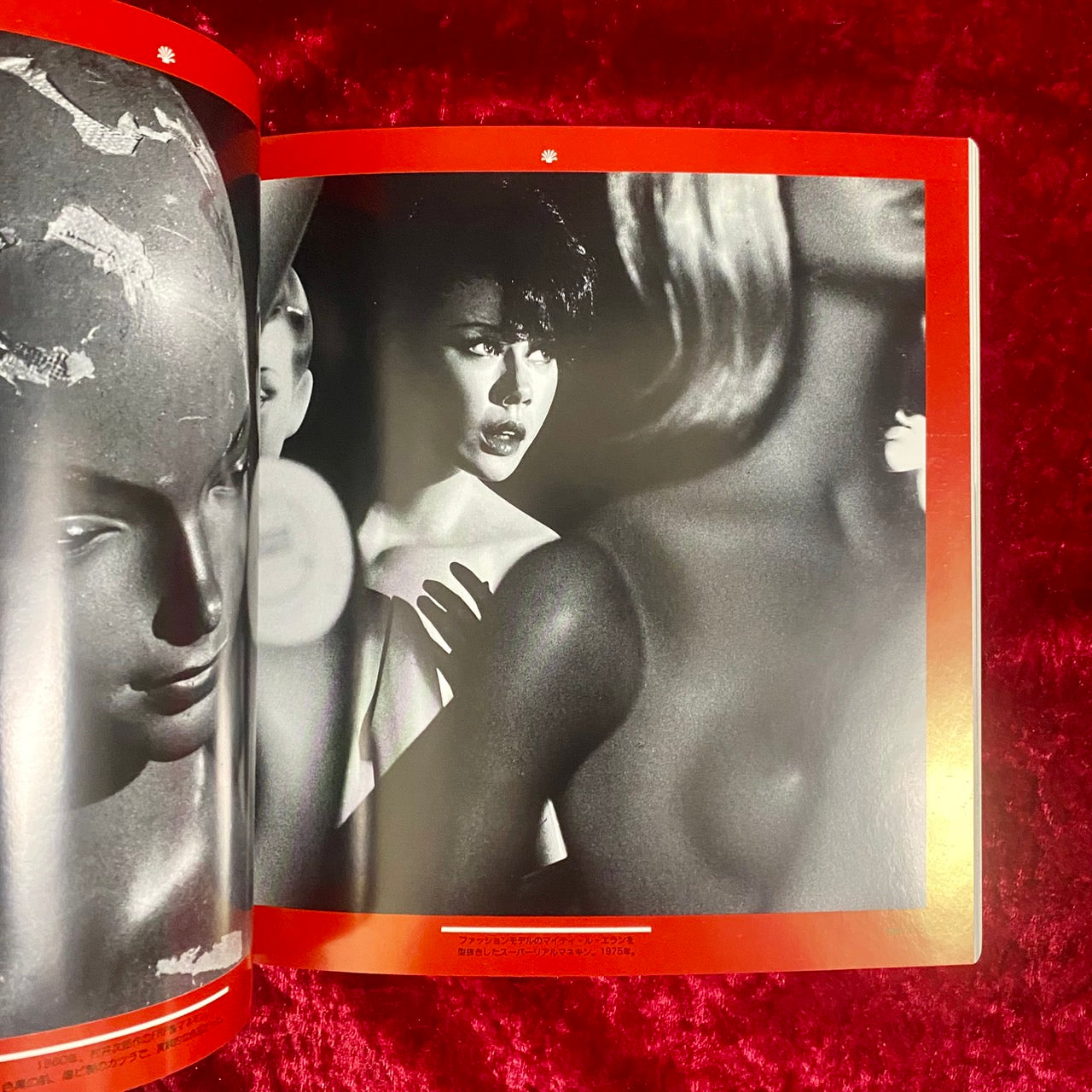 マネキン : 笑わないイヴたち ＜Inax booklet 1990 no.2＞