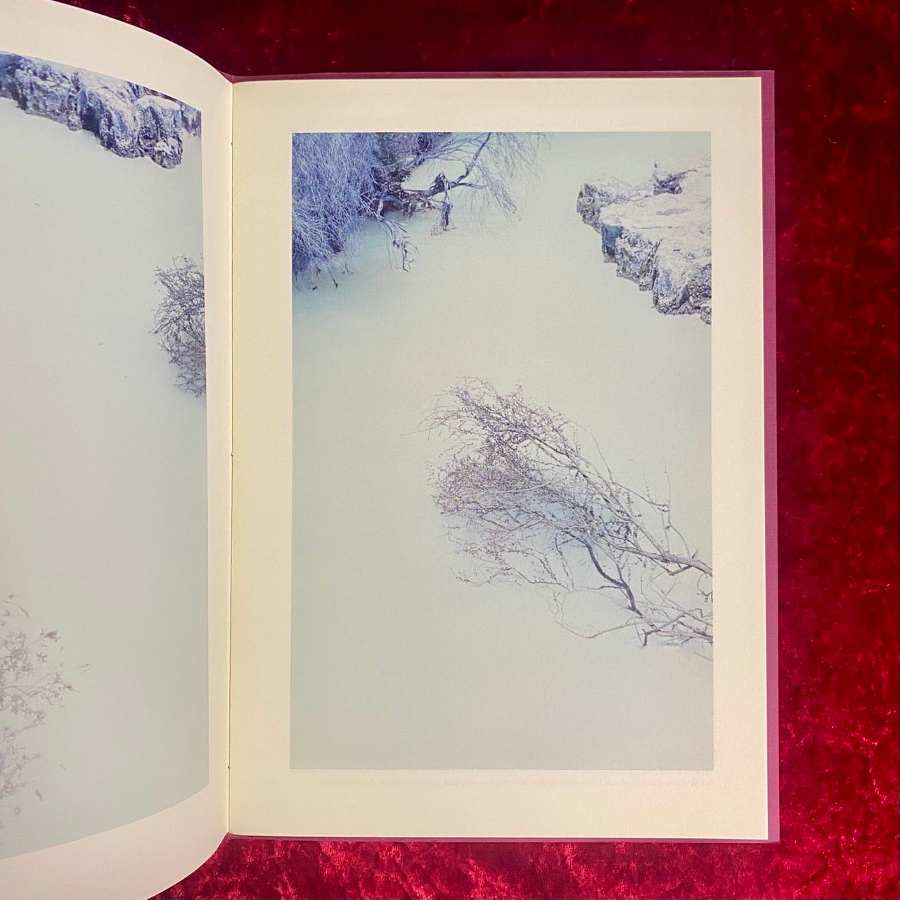 nonocular 瀧本幹也 写真集　サイン入り　限定700部