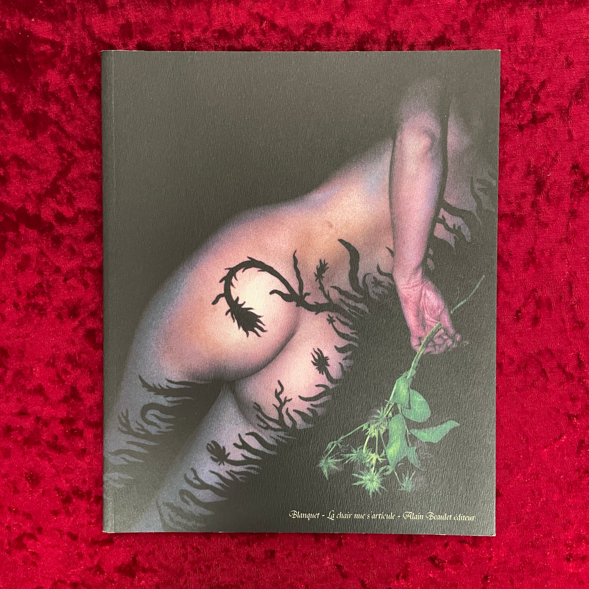 La chair nue s'articule　洋書　ステファン・ブランケ　 Stephane Blanquet