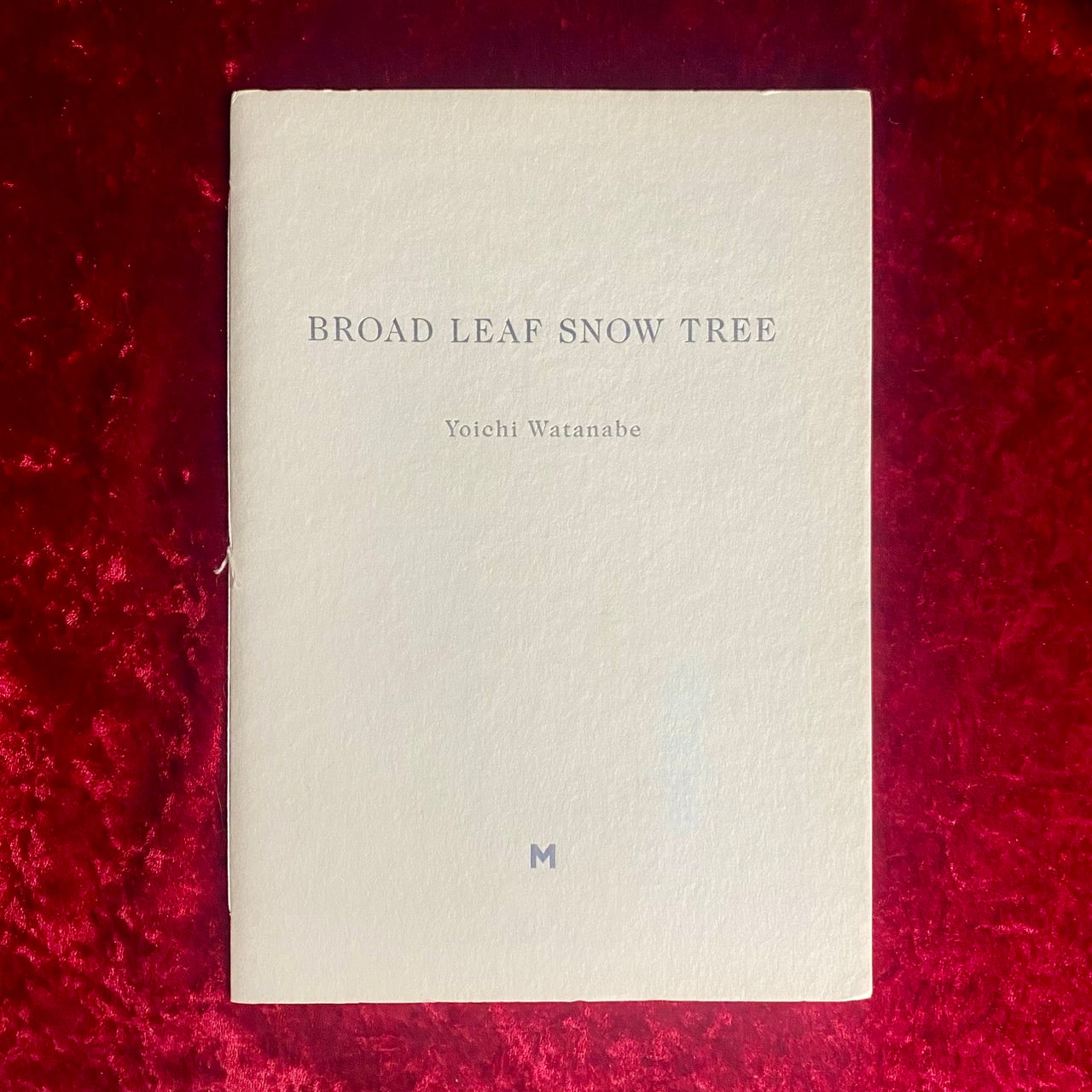Broad Leaf Snow Tree　渡辺洋一写真集　限定700部　サイン入り