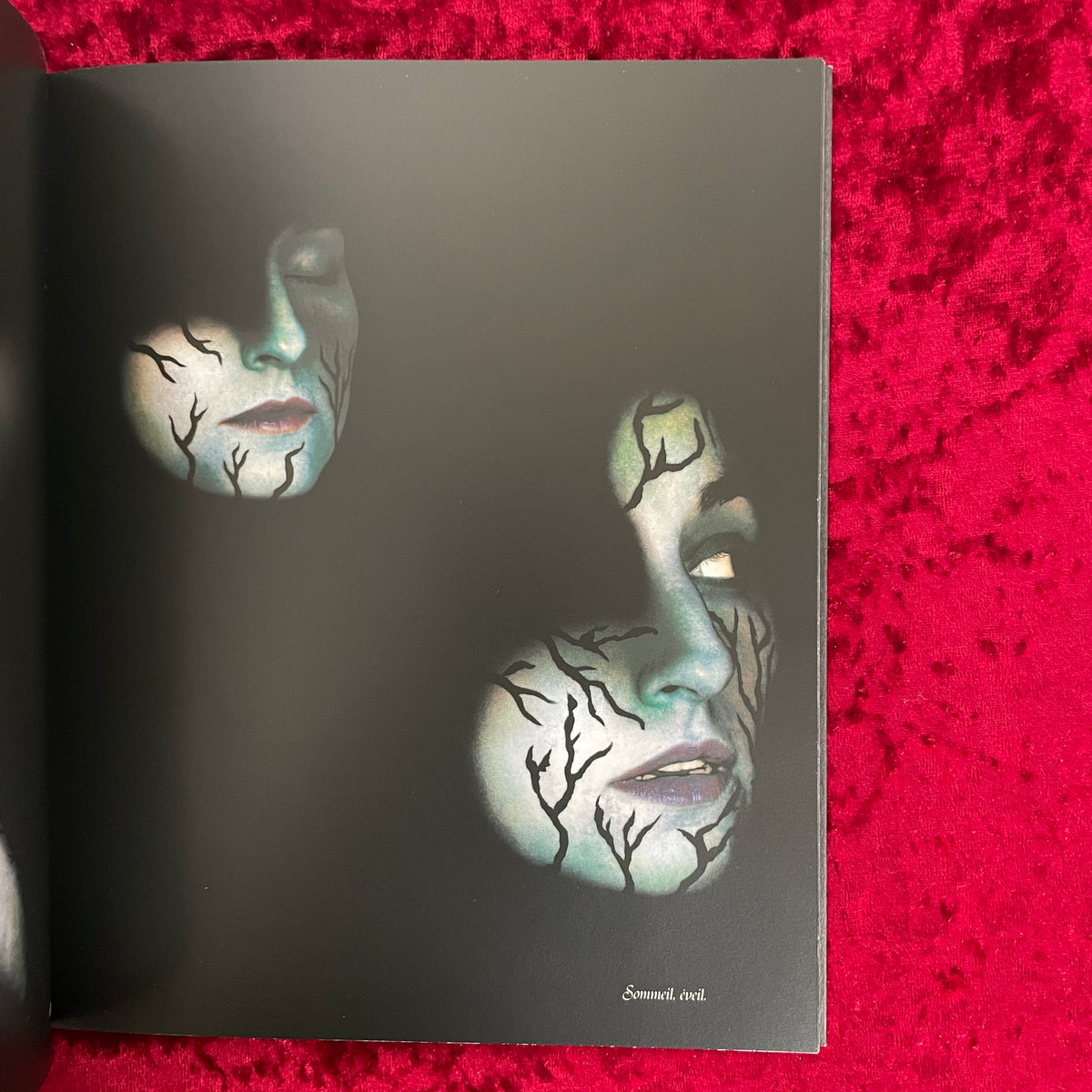 La chair nue s'articule　洋書　ステファン・ブランケ　 Stephane Blanquet