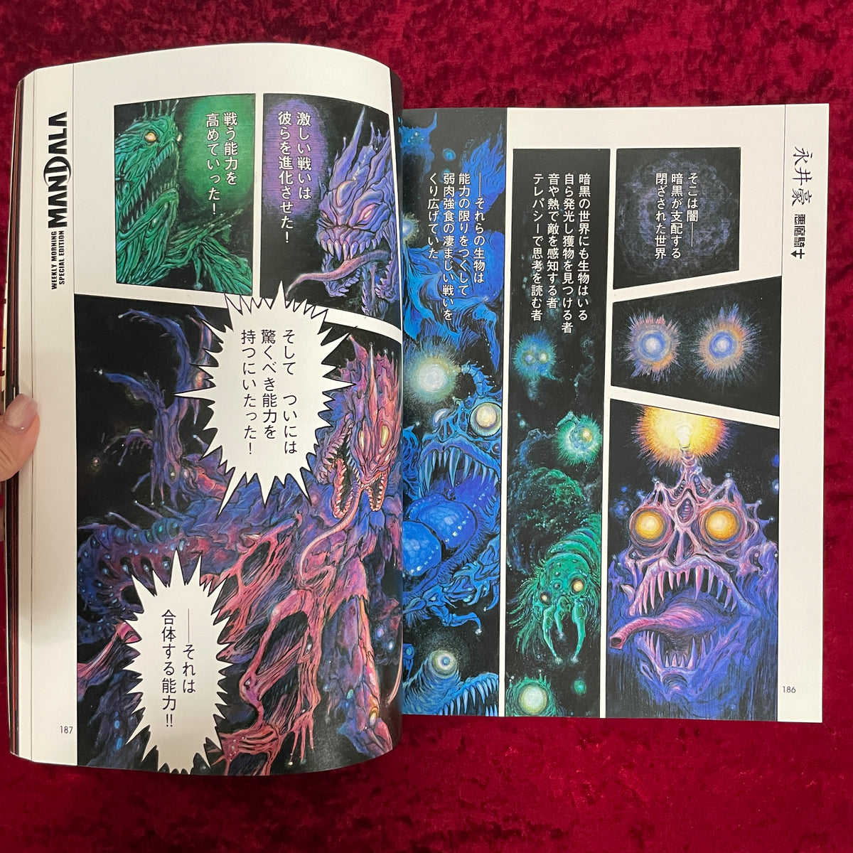MANDALA Vol.1～Vol.3　3冊セット　マンダラ Vol.1～Vol.3　3冊セット