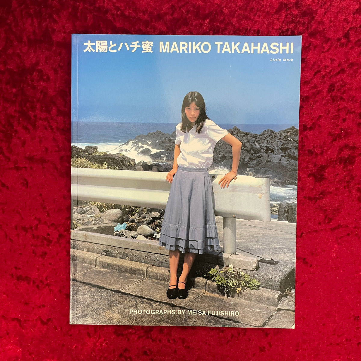太陽とハチ蜜 : 高橋マリ子写真集