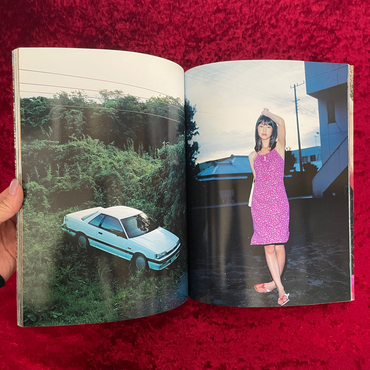 太陽とハチ蜜 : 高橋マリ子写真集