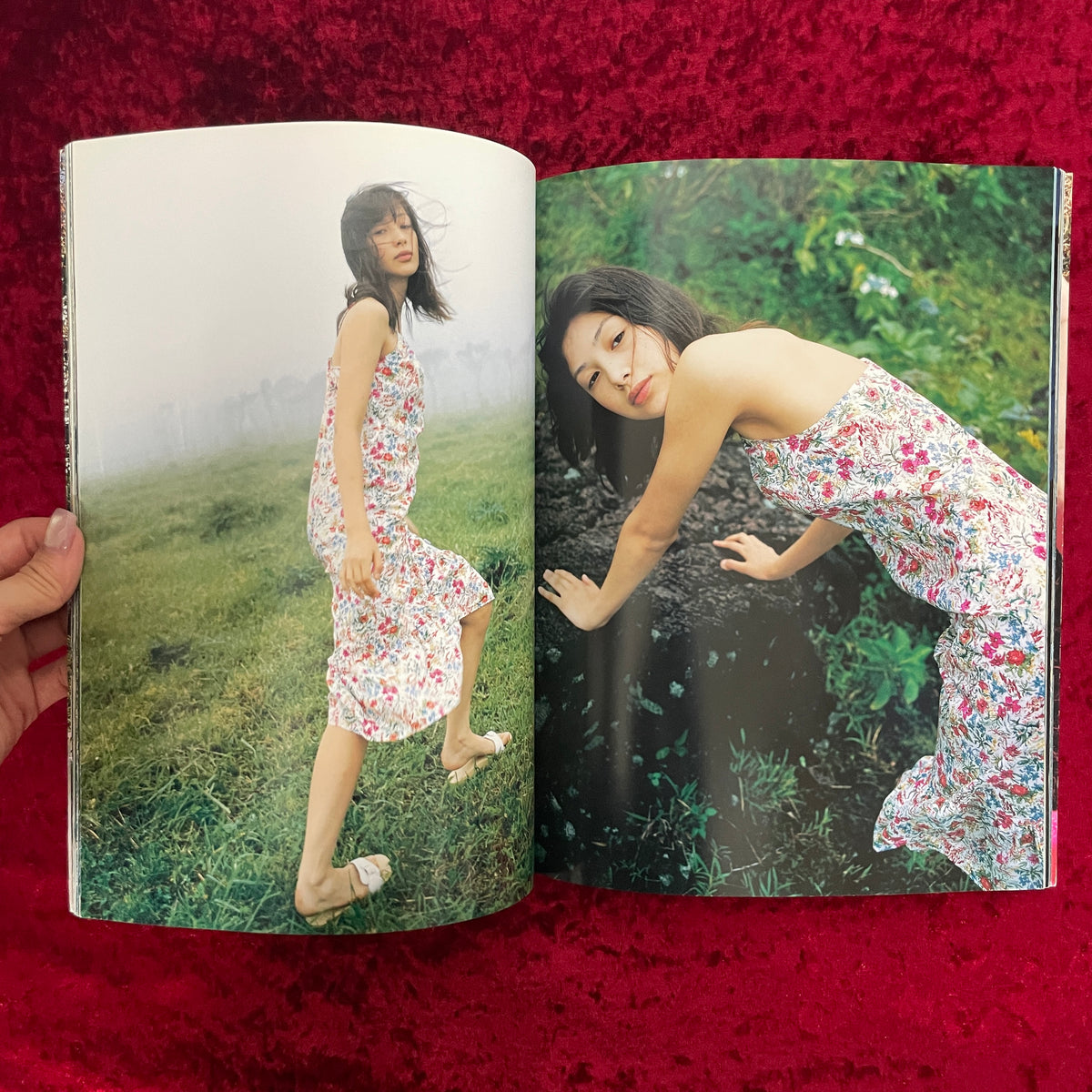 太陽とハチ蜜 : 高橋マリ子写真集