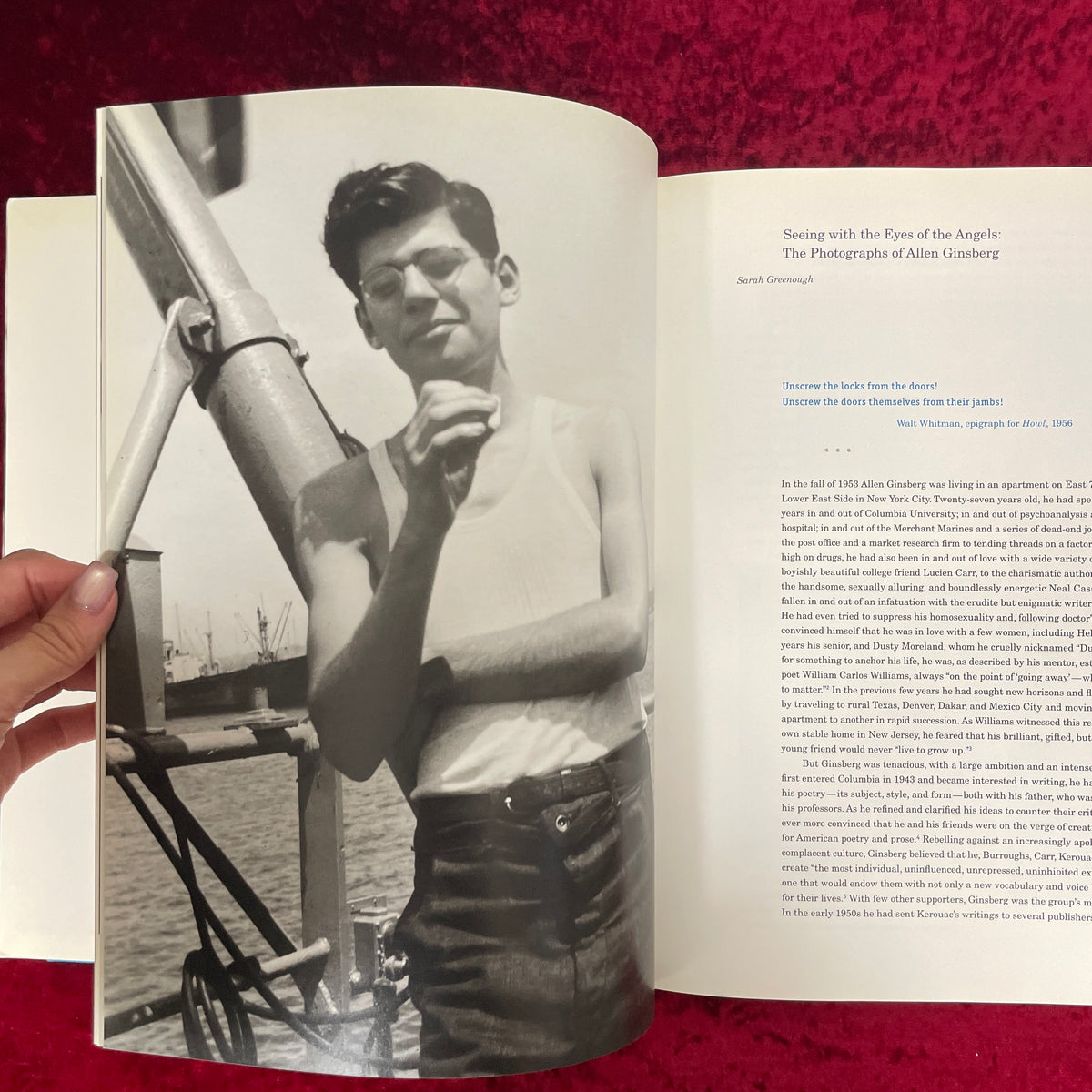 Beat Memories: The Photographs of Allen Ginsberg 洋書