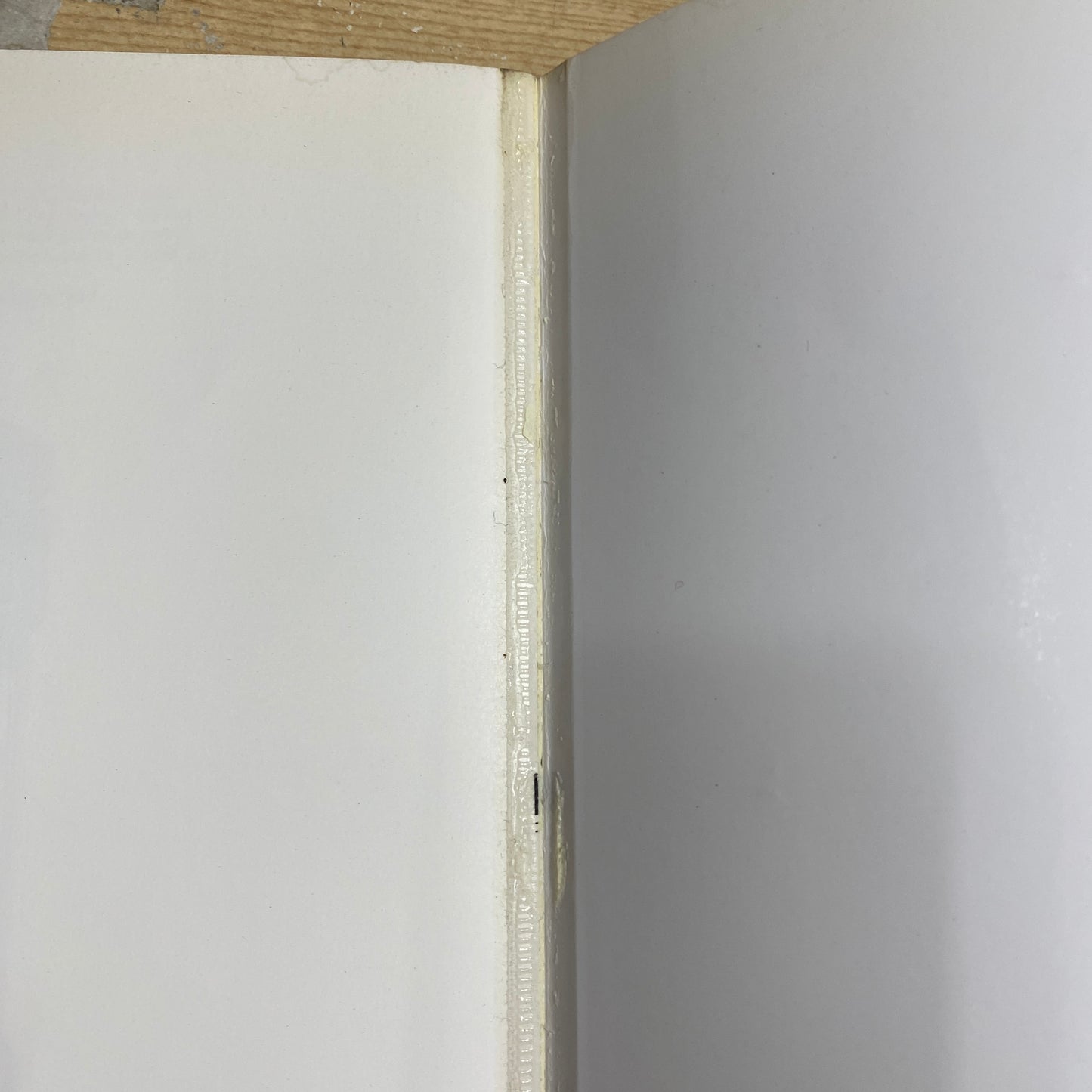 HALLELUJAH ANYWAY　洋書