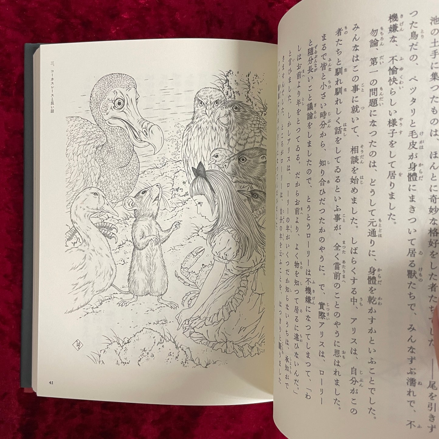 アリス物語