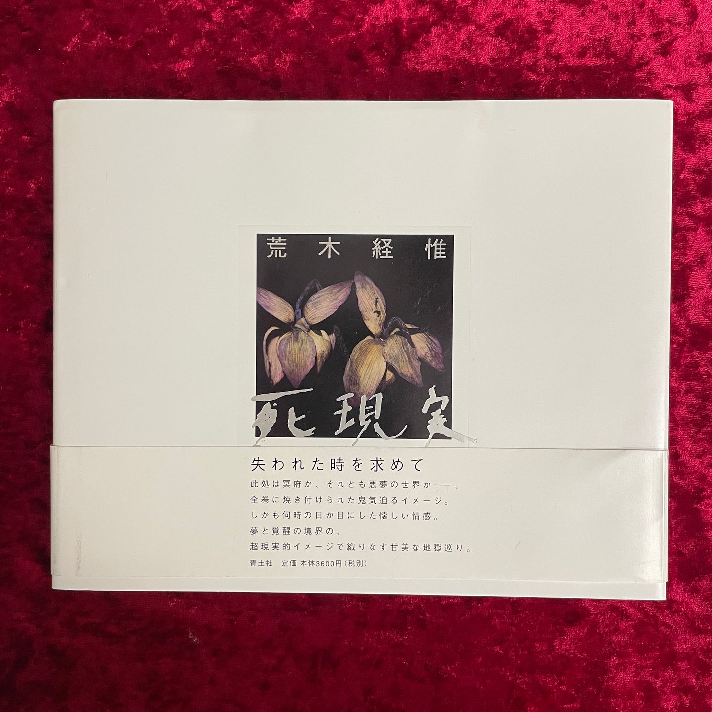 死現実  荒木経惟