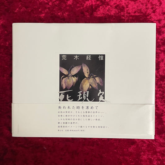 死現実  荒木経惟