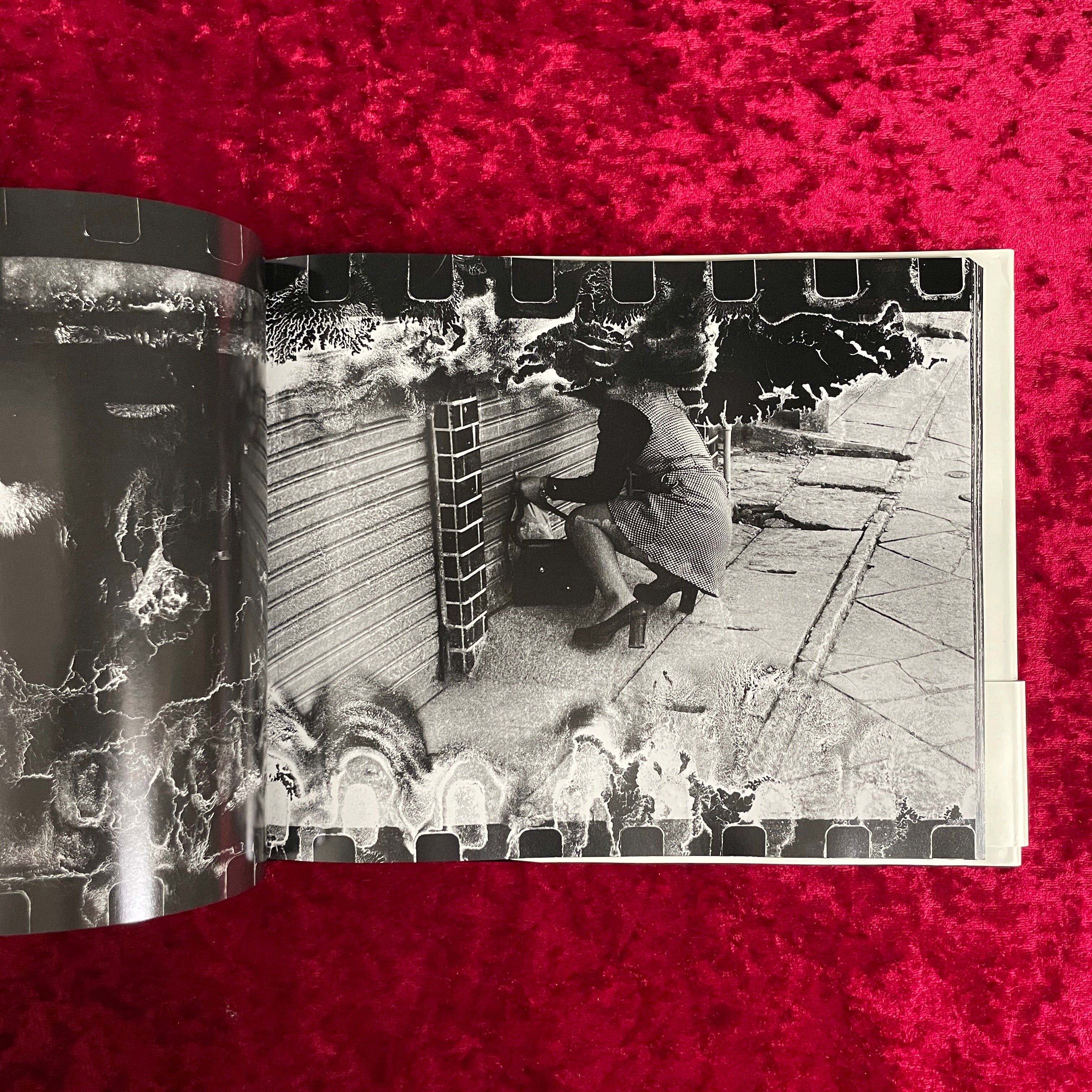 死現実 荒木経惟 – 古書ドリス