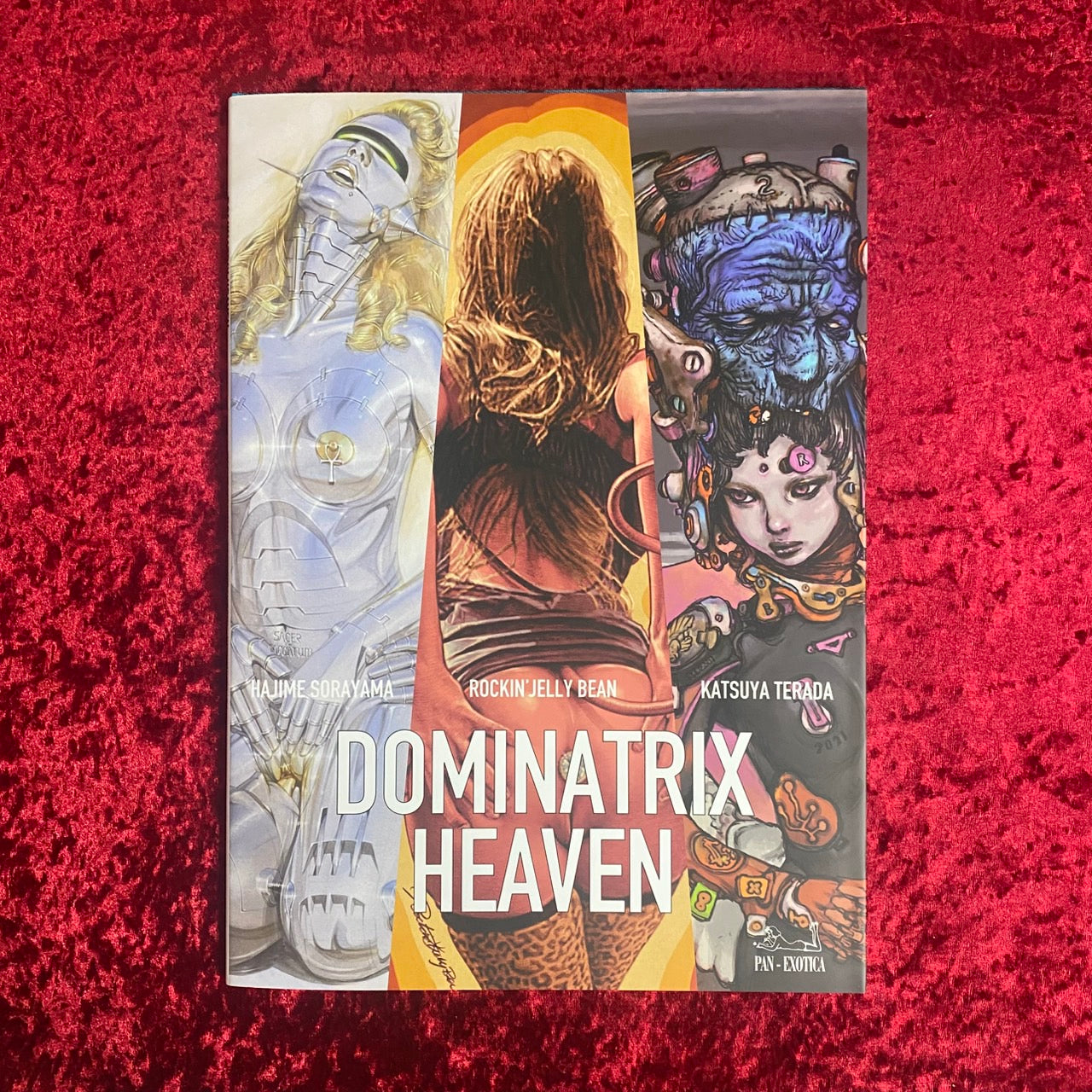 新刊書籍】DOMINATRIX HEAVEN – 古書ドリス