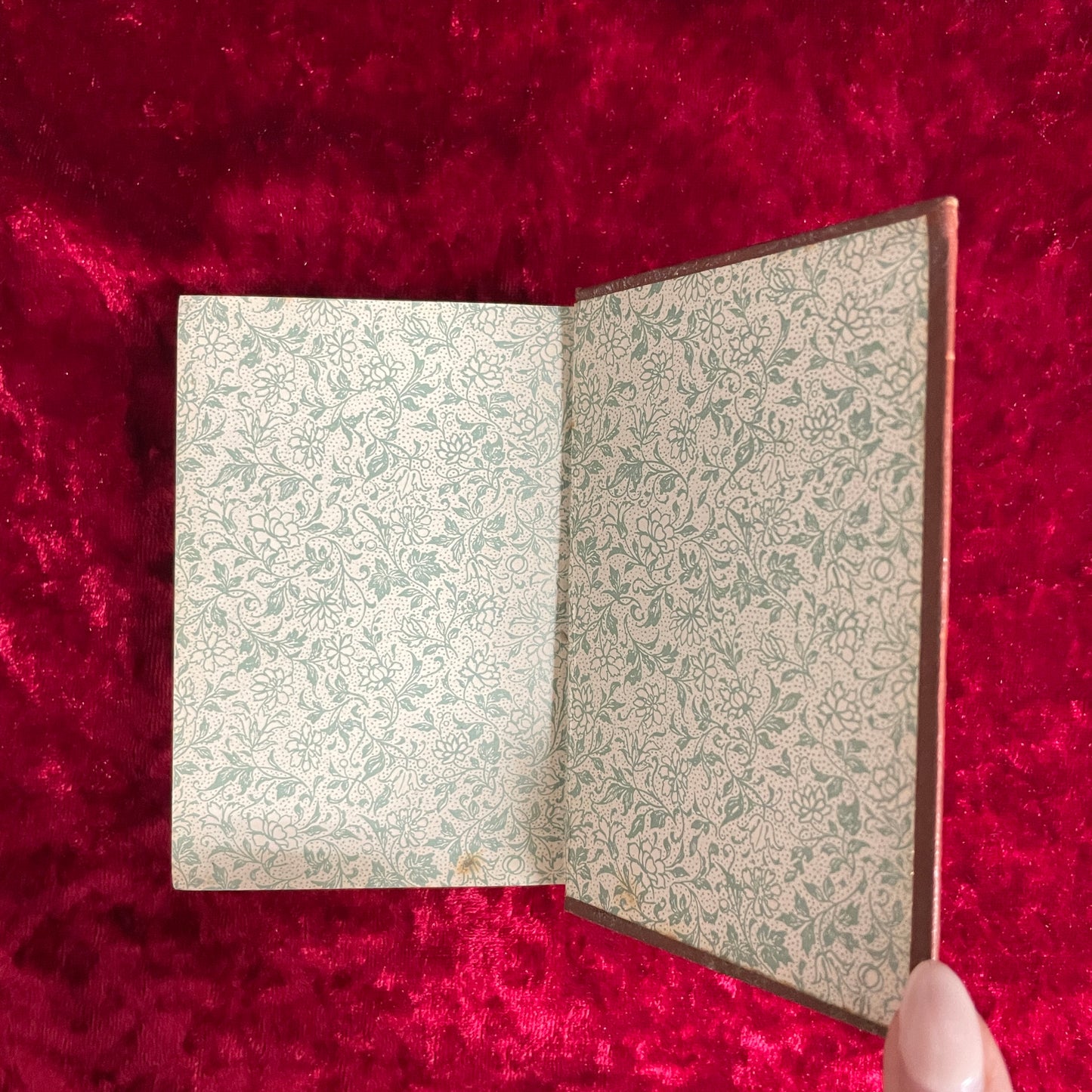 Klassisches Vergissmeinnicht アンティーク　洋古書