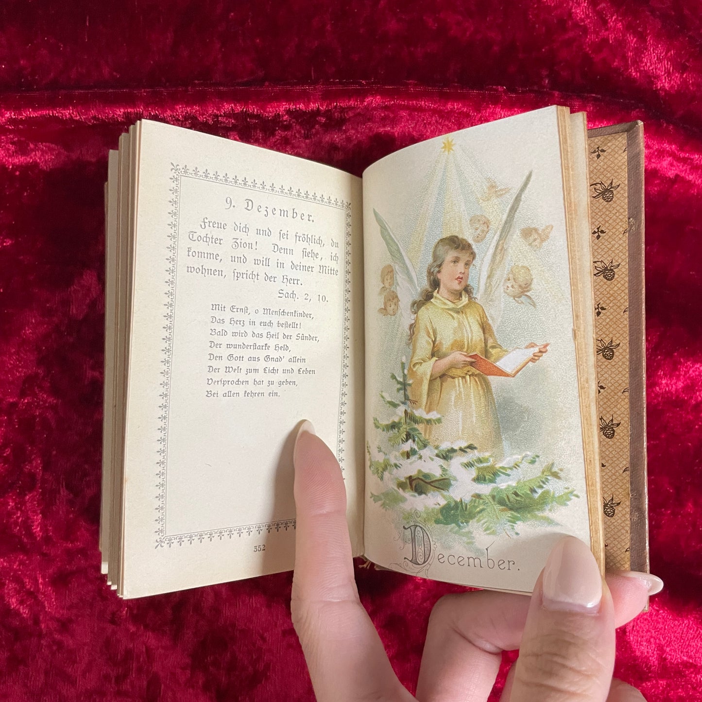 Vergissmeinnicht 勿忘草のメモリアルブック　アンティーク　洋古書